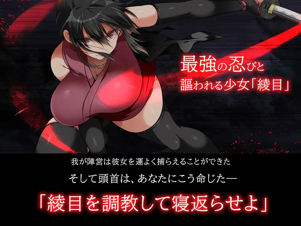步兵版[日式SLG/动态] 忍堕－女忍调教 STEAM官方中文版 全CV [11.30G]