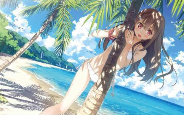 【PC/汉化版/6.5G/ADV】夏汁100% Ver2 精翻完整汉化版+存档 ADV大作&补+6.5G