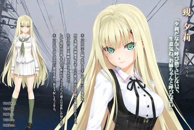 美少女万华镜 1-5 官中全系列 PC+安卓端 神级ADV收藏