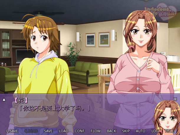 禁忌之花(Indecent Wife Hana) v0.43.3 官方中文版 PC+安卓 ADV游戏 394M