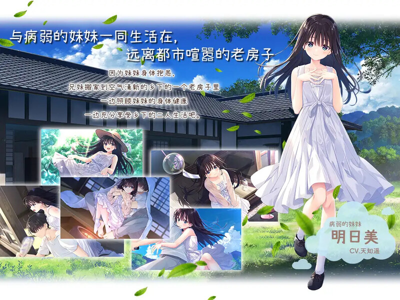 新作[爆款SLG/纯爱/动态] 痴情哥哥与病弱妹妹的乡间生活 エッチで一途なド田舎兄さまと、古式ゆかしい病弱妹 Steam官中步兵版+全回想解放 [3.50G]