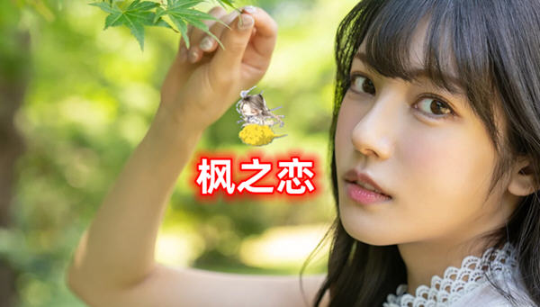 【安卓/PC/SLG/中文/2.1G/日式】枫之恋 ver1.0 官方中文版 PC+安卓 日式SLG游戏&新作完结&补+2.1G-ACG家园网