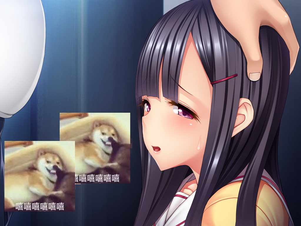 【ADV/汉化/CV】抓住弱点，狠狠蹂躏人妻和她的女儿！汉化版+CG包【8新汉化/680M】