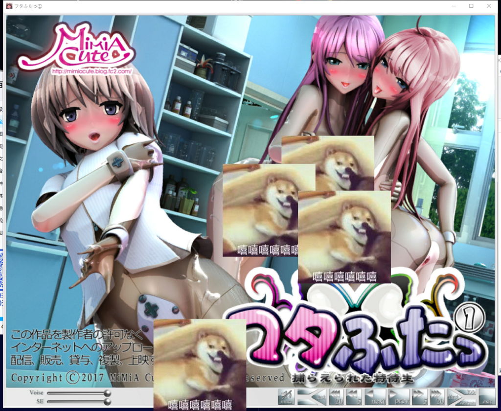 【3D/全动态】熏子：被捕获的特长生+完美女子化计划！游戏+漫画版【连体黑丝】【7.3G】-ACG家园网