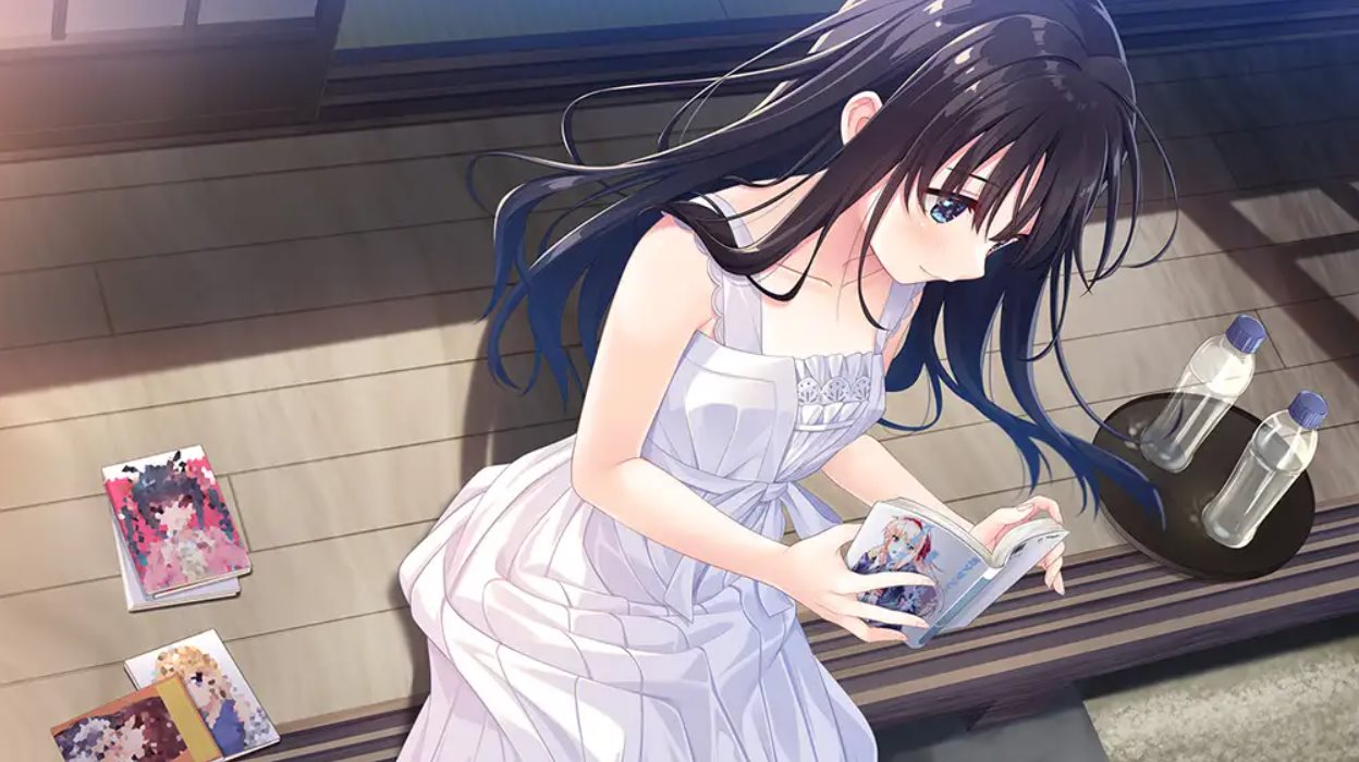 【日式SLG/中文】痴情哥哥与病弱妹妹的乡间生活 付DLC1~5 中文步兵版【更新/4G】