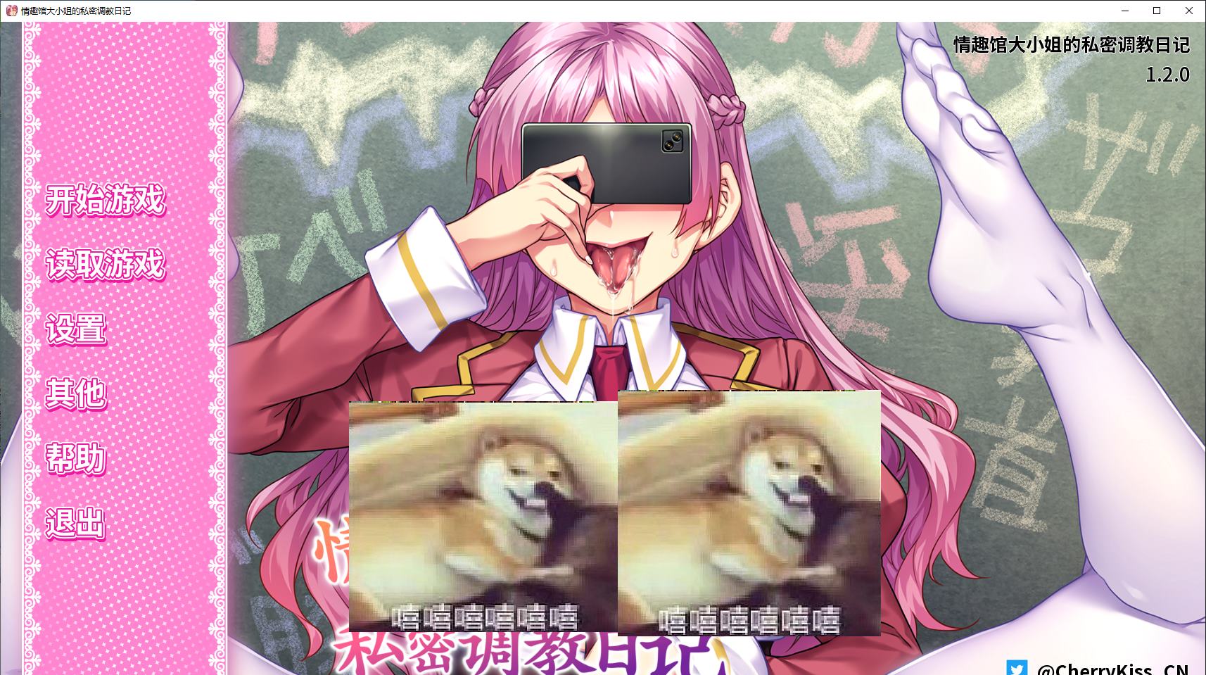 【拔作ADV/中文/CVPC】情趣馆大小姐的私密调教日记  步兵中文版【新作/4.4GG】-ACG家园网