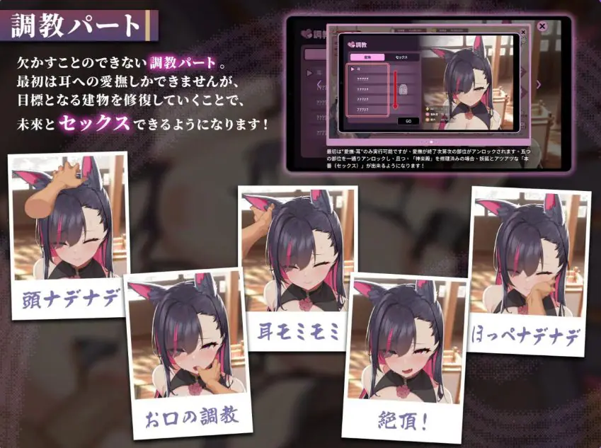 【PC/官中/精品/SLG游戏/9.0G】 妖狐的深夜直播 （Mirai’s Midnight Stream）Ver26.08.22 官中步兵版+存档+精品SLG游戏+9.0G